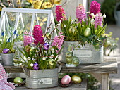 Hyacinthus (hyacinth), Muscari 'White Magic', 'Big Smile'
