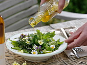 Salad with wild herbs, bellis, primula