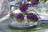 Blüten von Allium 'Purple Sensation' (Zierlauch) in kleinen Gläsern