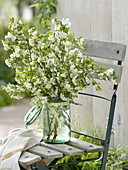 White bouquet of Crataegus monogyna (Common Hawthorn)