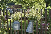 Bouquets of herbs in zinc cans hung on a fence