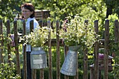 Bouquets of herbs in zinc cans hung on fence