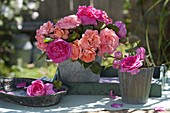 Various pinks (scented roses) in metal pots