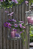 Glass lantern in wire basket with wreath of grasses and cosmos