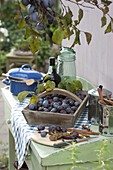 Freshly picked plums (Prunus domestica) in a wooden basket