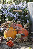 Autumnal harvest basket with pumpkins, artichoke