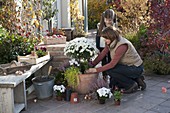 Frau bepflanzt Terracotta-Kübel mit weißem Chrysanthemen-Stämmchen