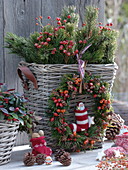 Basket with branches of pinus (pine) and roses (rosehip)
