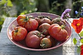 Frisch geerntete Tomaten (Lycopersicon) in Schale