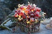 Frozen arrangement with physalis (lantern flower) in bowl made of betula