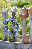 Myosotis (forget-me-not) wreath by the fence