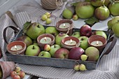 Tray of apples (Malus) and clay pots as lanterns