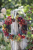 Wreath of wild fruits, sorbus, hippophae