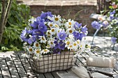 Small blue and white bouquets of Campanula persicifolia (bellflowers)