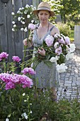 Woman cutting Paeonia lactiflora (peonies) for a lush bouquet