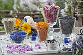 Edible flowers fresh and dried for tea: Rosa (roses), camomile