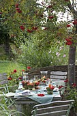 Late summer table decoration with rowan berries
