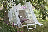 Lounger with mosquito net in the meadow under the apple tree