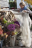 Wooden balcony box with Chrysanthemum 'Kifix', 'Pan'