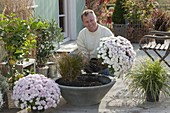Man planting white chrysanthemums in gray bowl