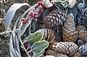 Frozen basket with cones and Ilex (Holly) on the bed