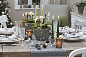 Festive table decoration with mini phalaenopsis