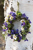 Wreath made of viola odorata (violet) and bellis perennis