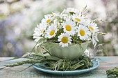 Small bouquet of Leucanthemum vulgare and grasses