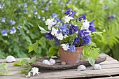 Small bouquet of aquilegia, fern and clematis tendril in clay pot