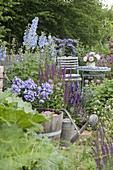 Support delphinium with perennial holder