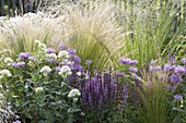 Perennials and grasses in a bed with hazel-wicker border
