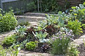 Create a hillside bed in a vegetable garden