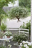 Weiß bepflanzter kleiner Balkon