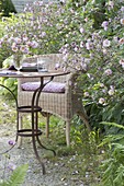 Small seat with wicker chair and table on the edge, Anemone hupehensis