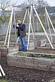 Connect self-built raised boards beds with trellis and plant