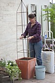 Woman planting tub with sweetpea and balcony flowers