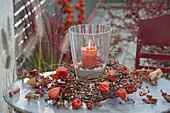 Lantern in wreath made of roses (rosehip) branches with physalis