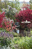 Enchanted Garden corner with small seating place between Euonymus alatus