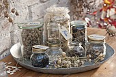 Jars with collected perennials, summer flowers and vegetables seeds