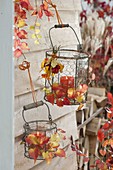 Wire baskets with glasses as lanterns, hung on the wall and with autumn leaves
