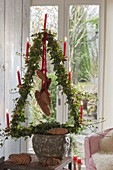 Hedera (Efeu) in Weihnachtsbaum-Form gezogen und mit roten Kerzen