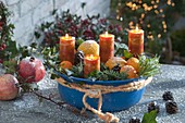 Blue bowl with oranges, clementines, branches of pinus