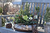 Winterfest planted copper bowl on wooden bench