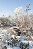 Snowy bed of perennials and grasses covered with hoarfrost