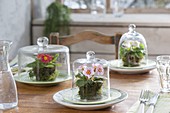 Table decoration with primroses under glass bells