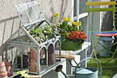 Spring balcony with tomato seedlings