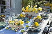 Easter table decoration with narcissus on the terrace