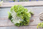 Small tea herb bouquet made with Alchemilla mollis (lady's mantle)