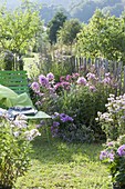 Green lounger on flowerbed with Phlox paniculata, P. amplifolia