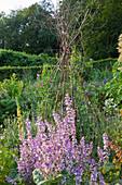 Painswick Rococo Garden, Gloucestershire: THE KITCHEN Garden